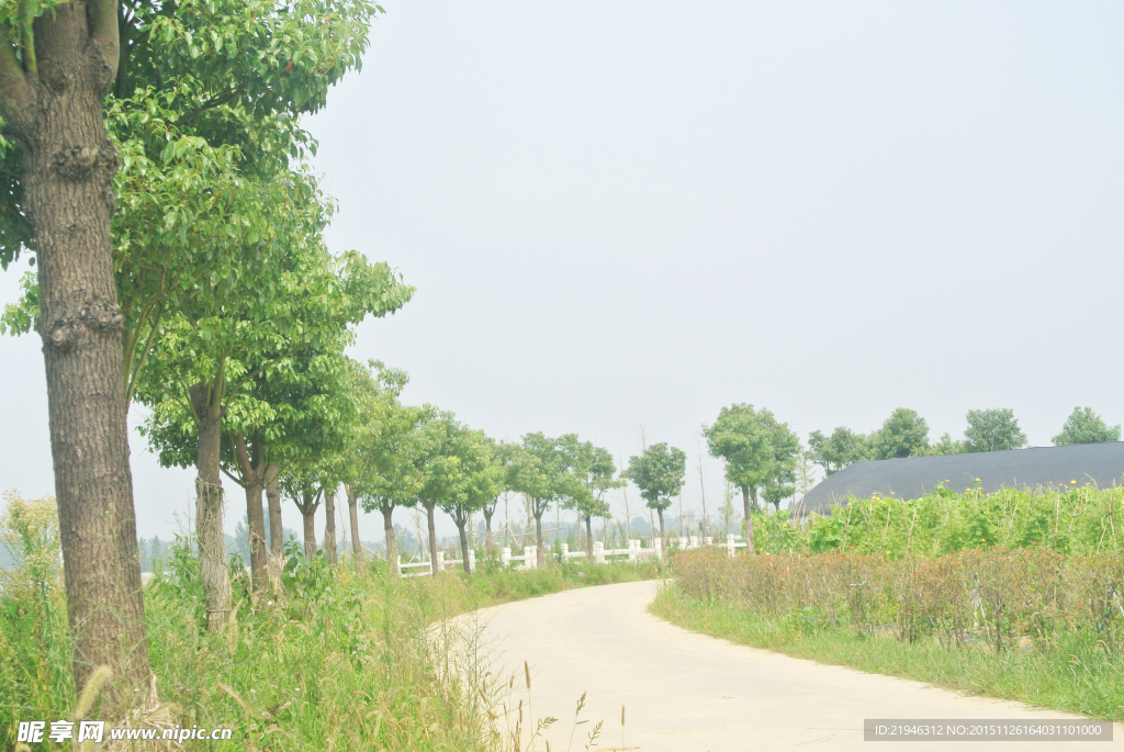 彎沿小路