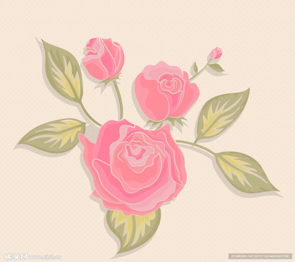 粉色玫瑰花