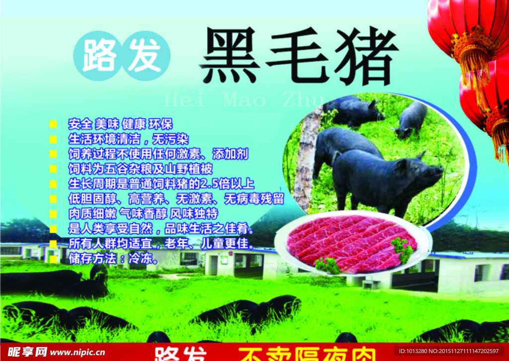 路發(fā)黑毛豬