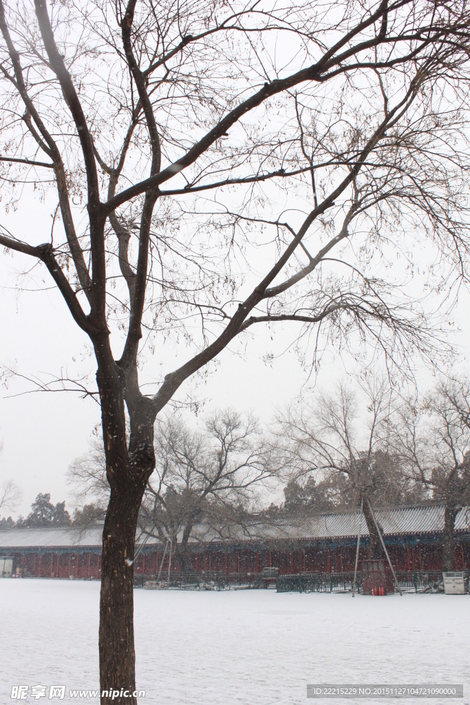 故宮的雪