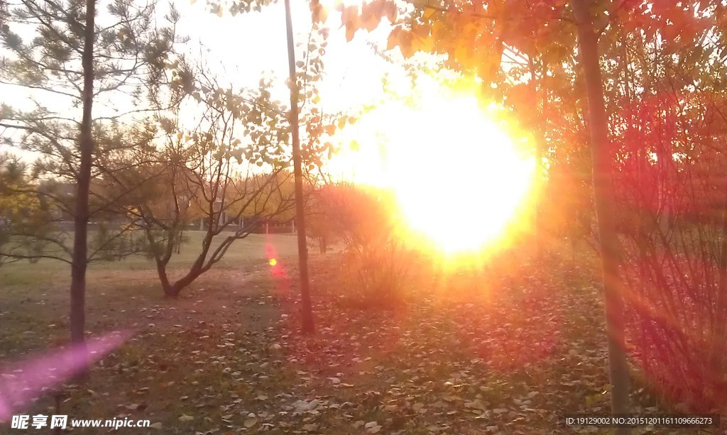 夕陽下的秋天