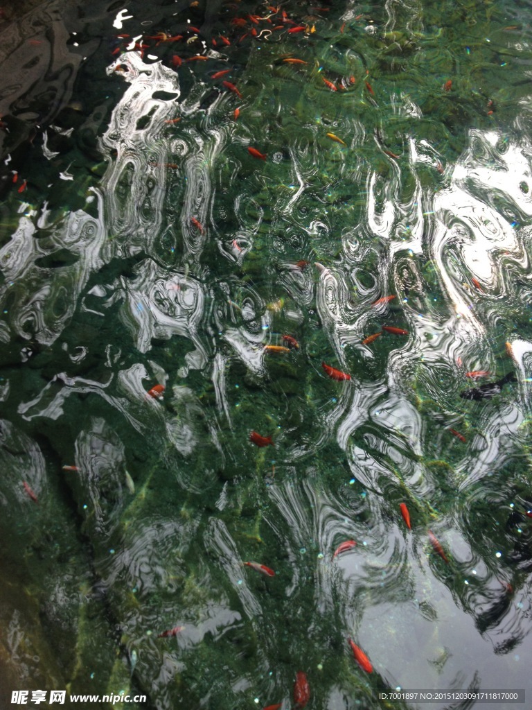 魚 水