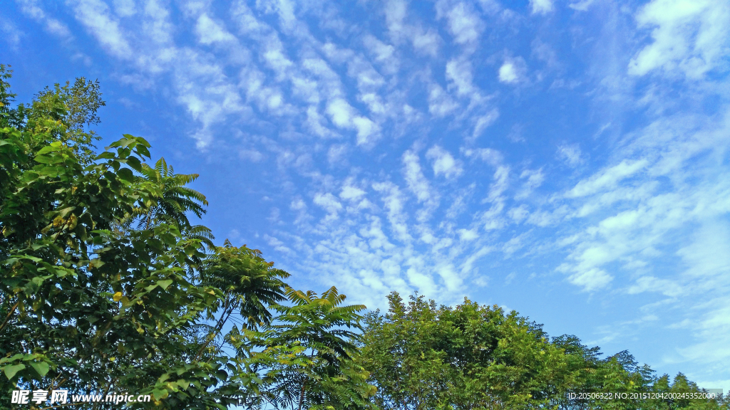 秋天的晴空