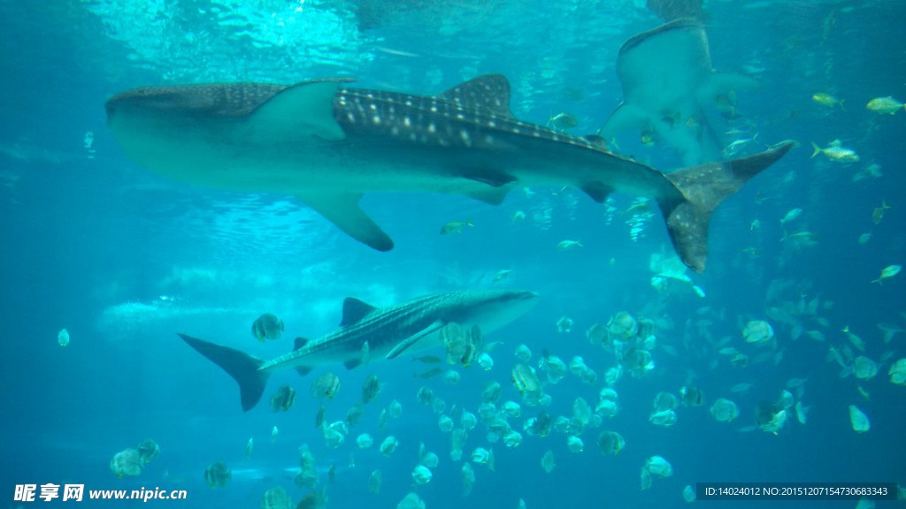 水族館
