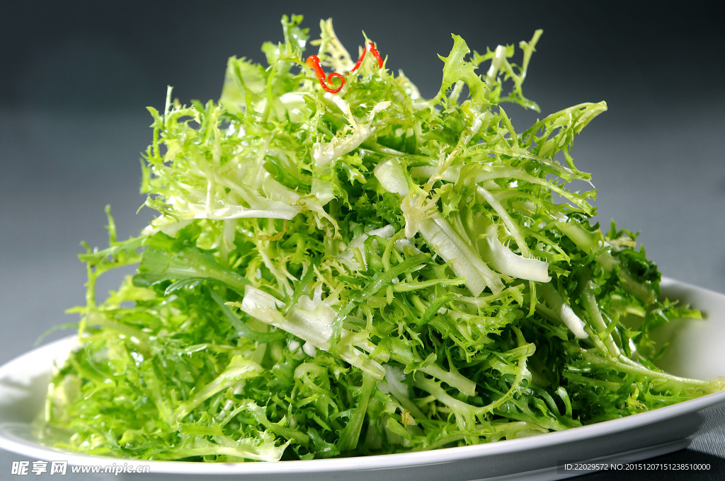 巧手苦菊好