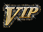 VIP金字样式