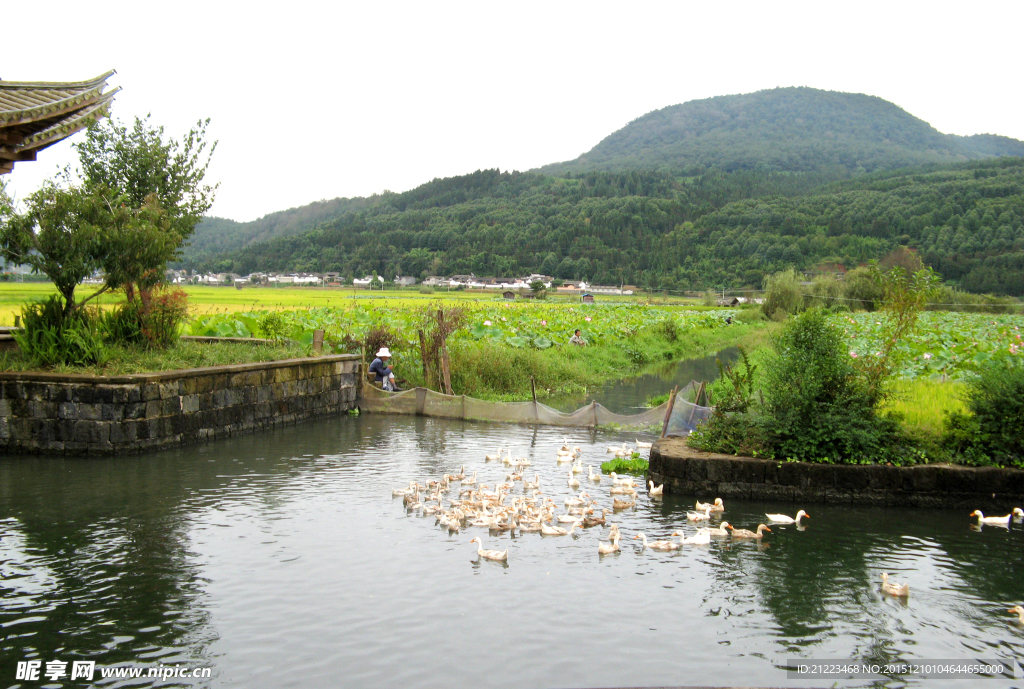 和順水美