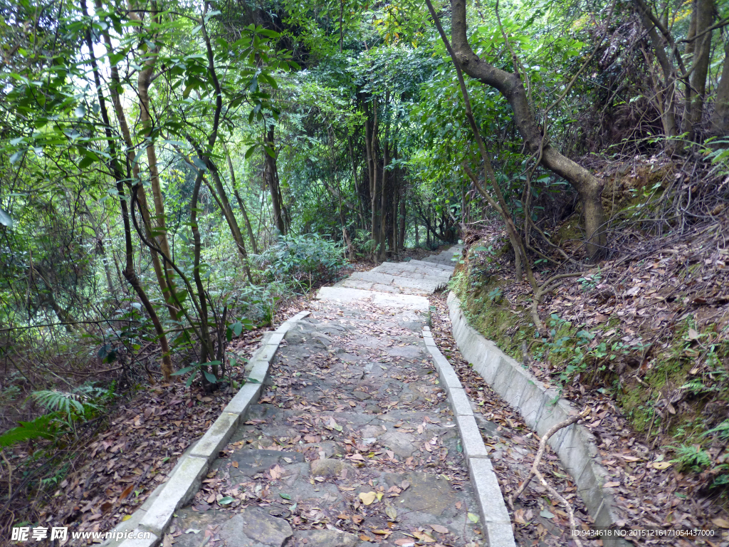 山中小道