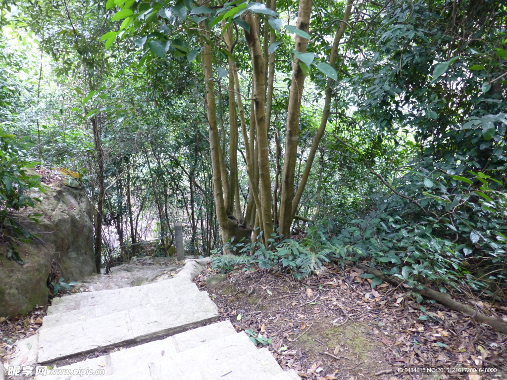 山中小路