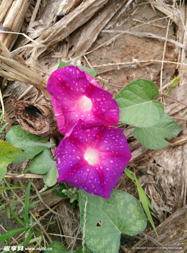 牽?；? />
                            </div>
                    </div>
                </div>



                <div   id=