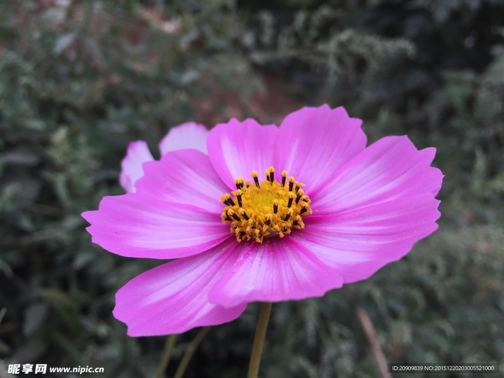 紅色格?；? />
                            </div>
                    </div>
                </div>



                <div   id=