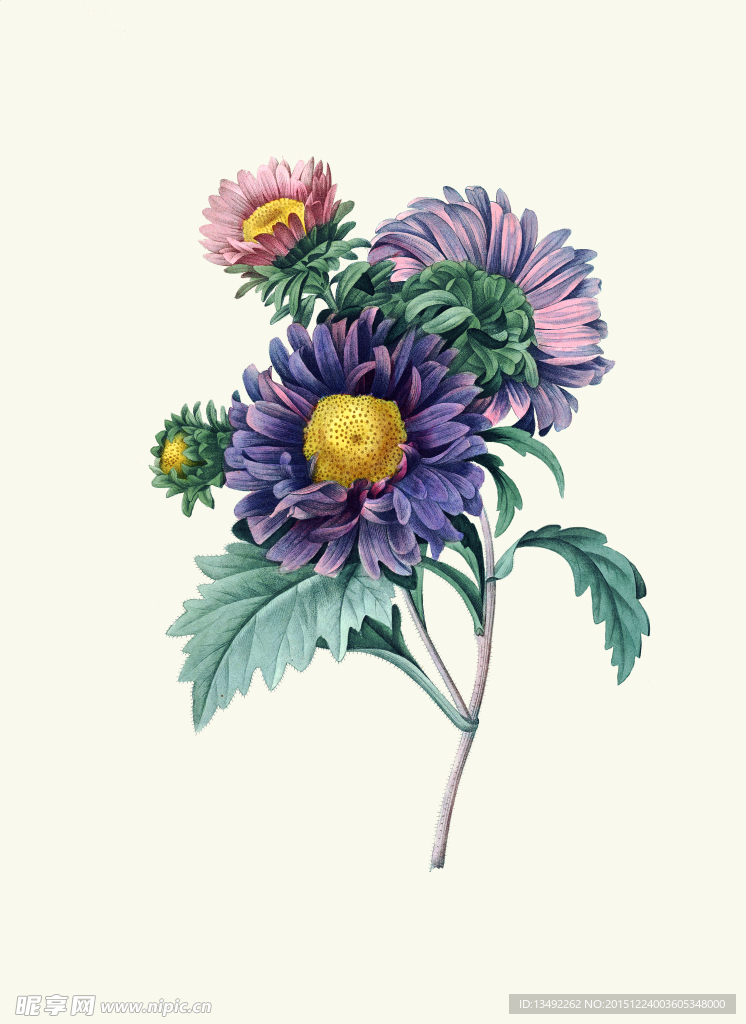 歐式手繪花朵