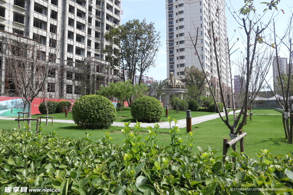 小區(qū)綠化
