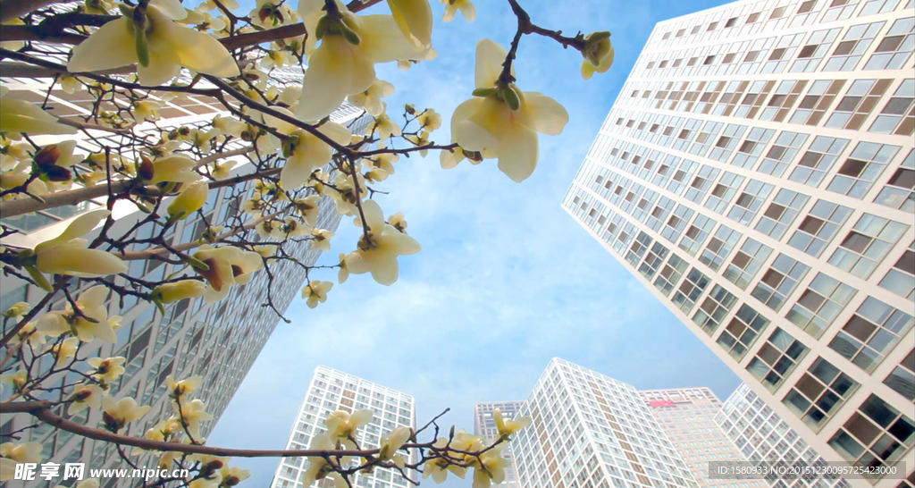 都市風光