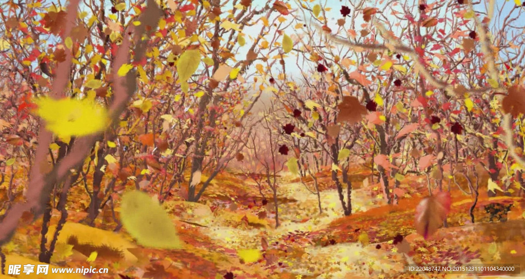 秋季落叶动态视频