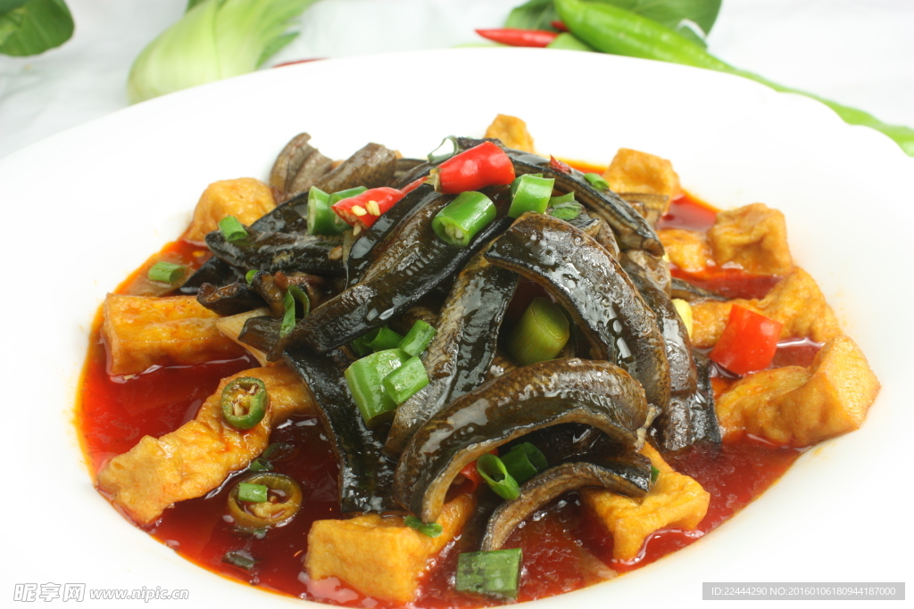 鱔魚豆腐