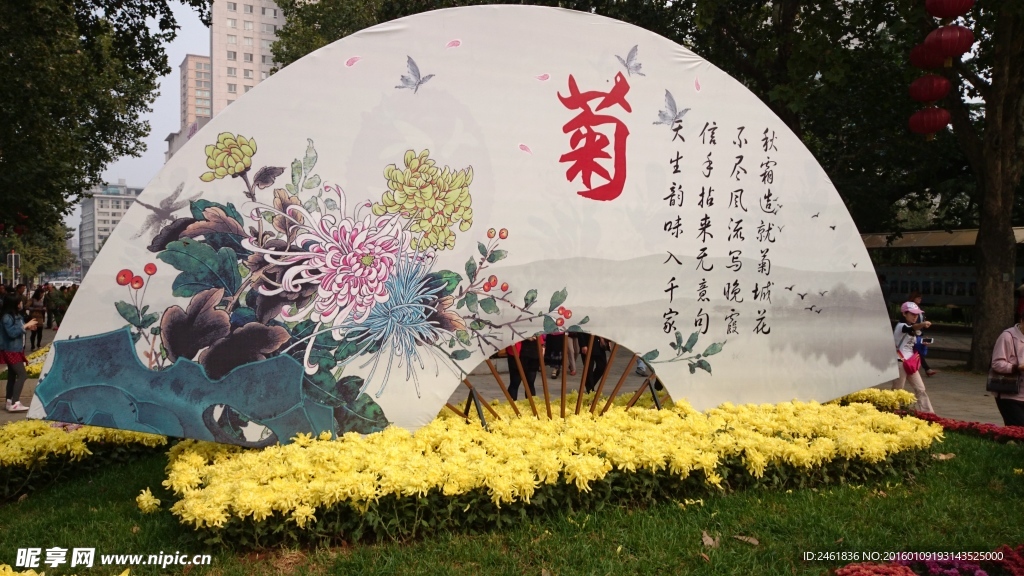 菊花展
