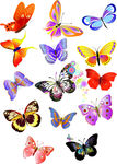 卡通各种蝴蝶系列