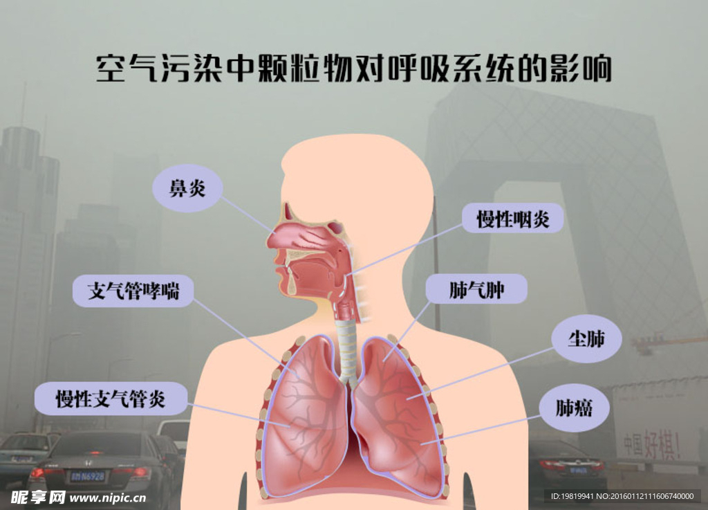 空氣污染中顆粒物對呼吸系統影響