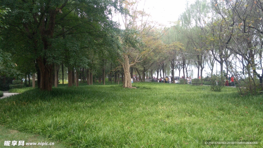 公園草地
