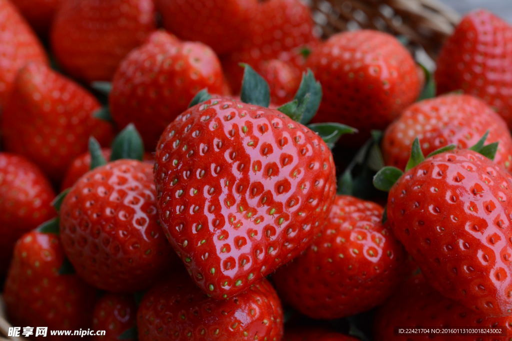 草莓 冬草莓