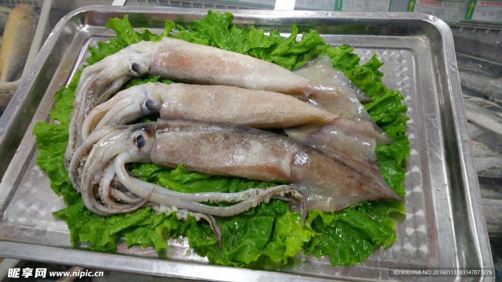 魷魚