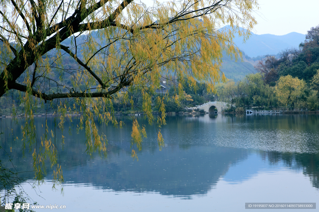 公園湖景