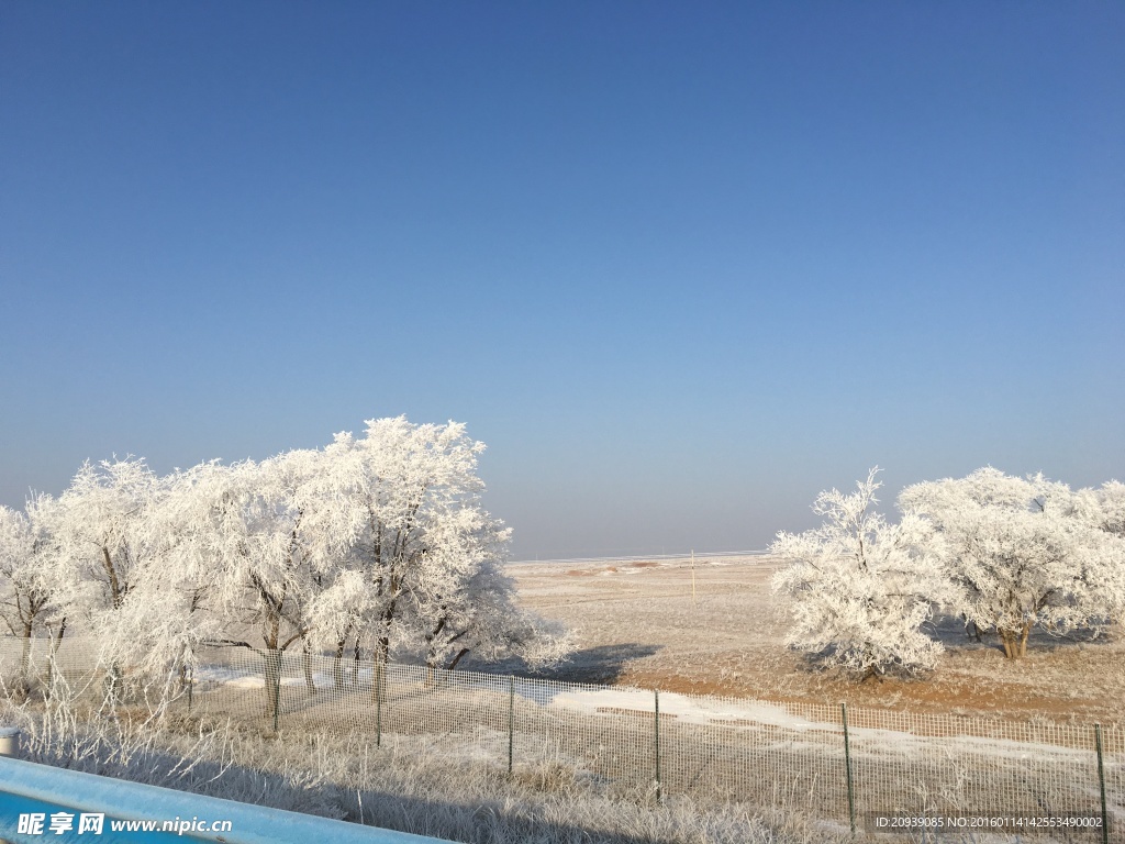自然雪景