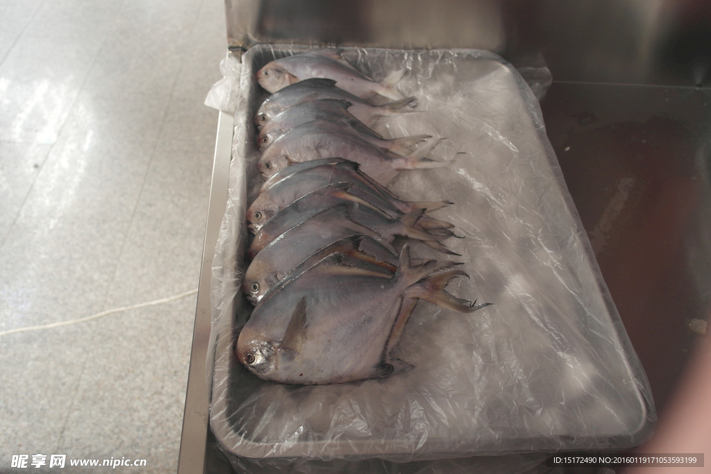 海鮮超市魚高清