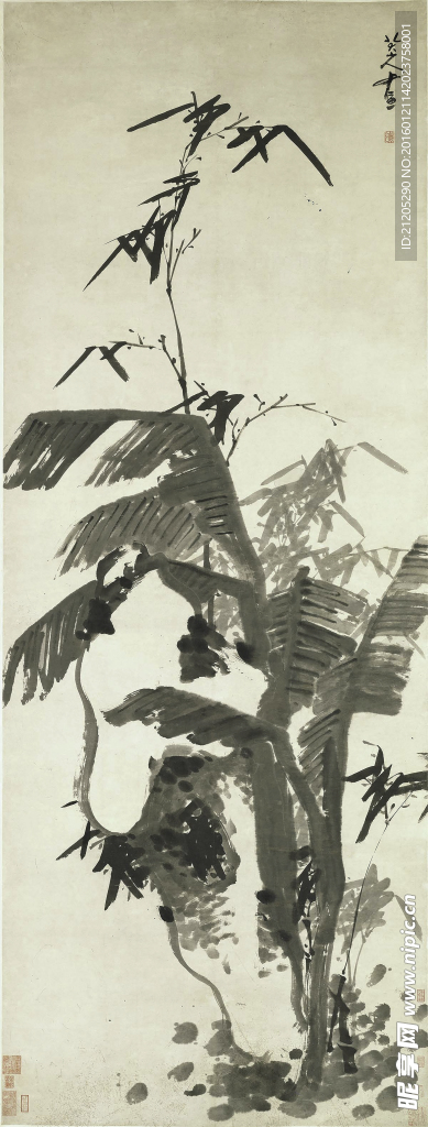 芭蕉竹石