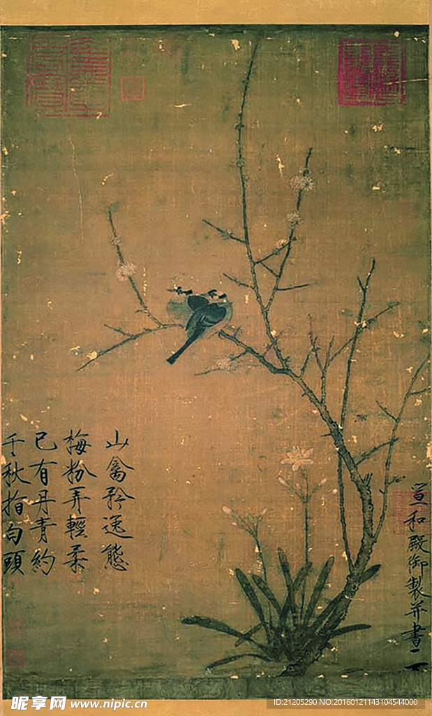 臘梅山禽