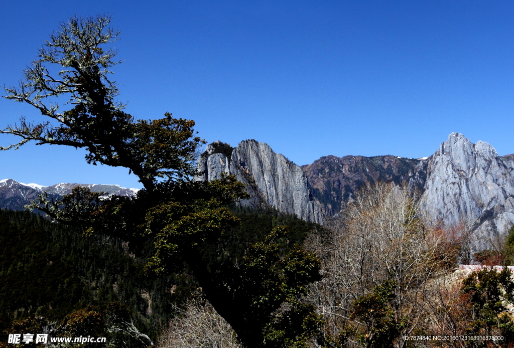 四川鄉(xiāng)城雪山