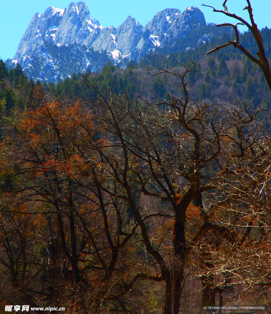 四川鄉城雪山