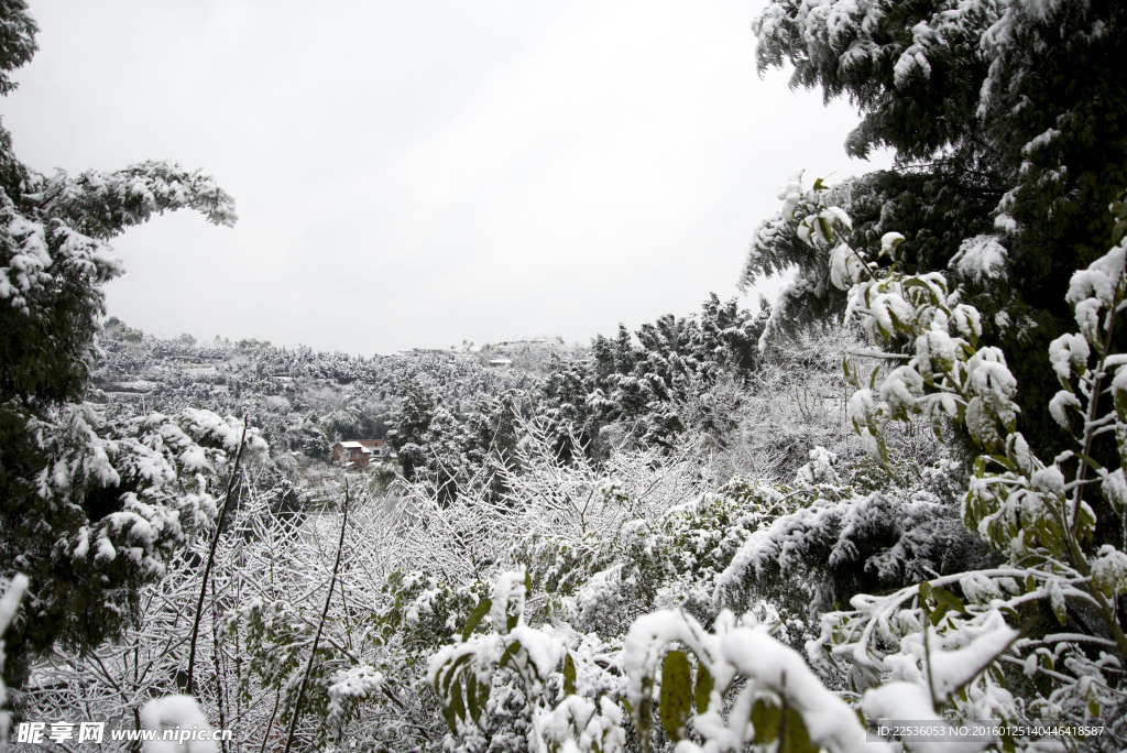 農村雪景