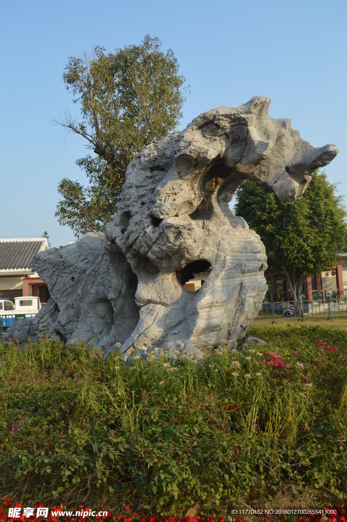 盆景 園藝
