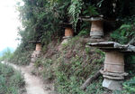養蜂