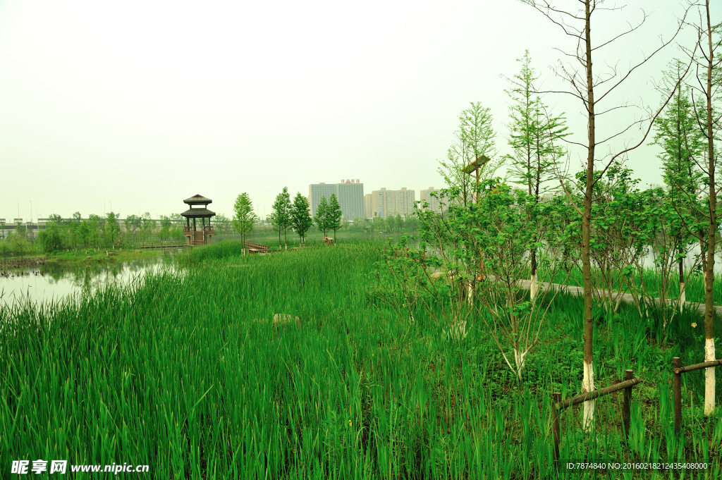 濕地公園