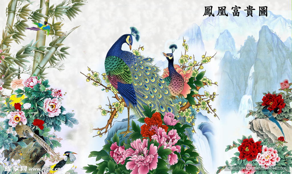 孔雀畫