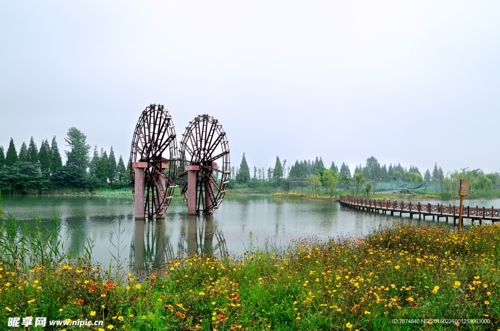 濕地公園