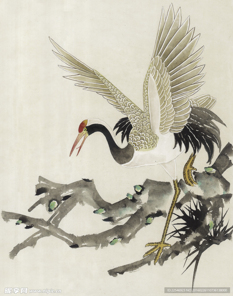 丹頂鶴