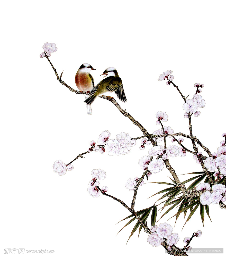 中國畫花鳥