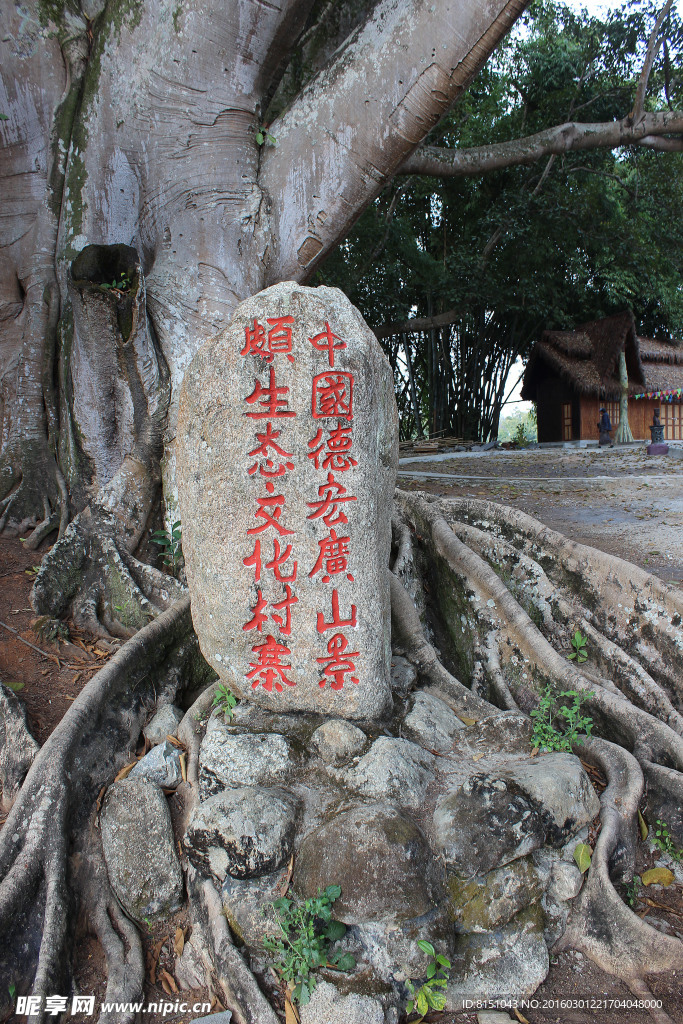 景頗園 樹林
