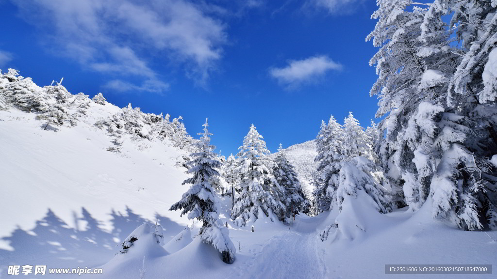 高山雪景