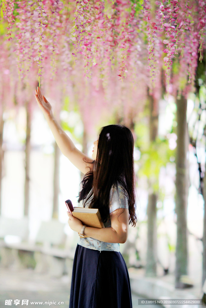 花海美女