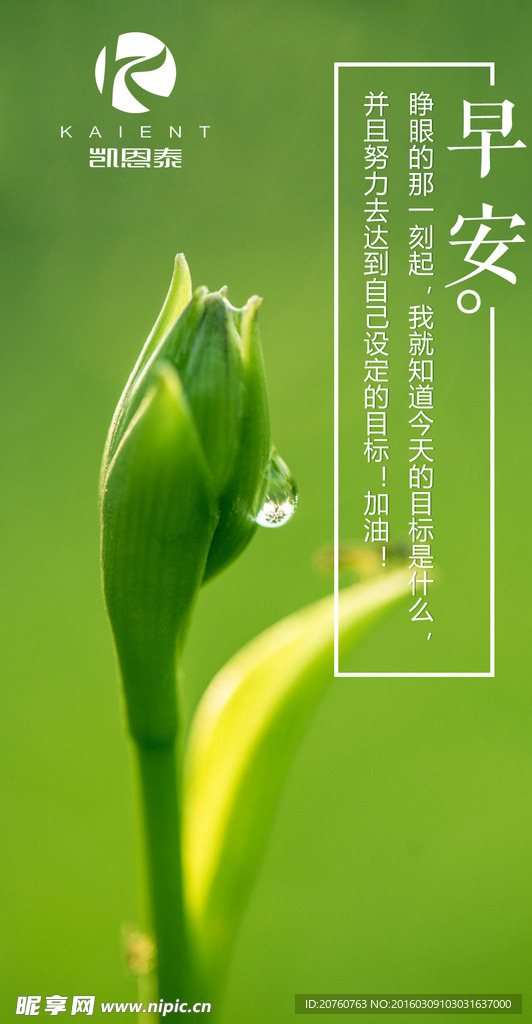 早安