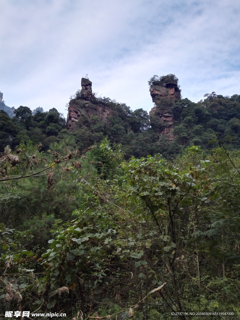 張家界國家森林公園