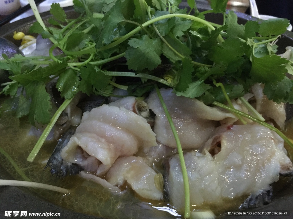 石鍋魚