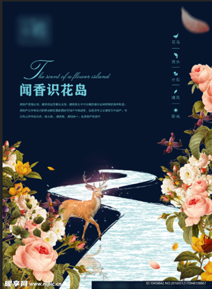 梅花鹿