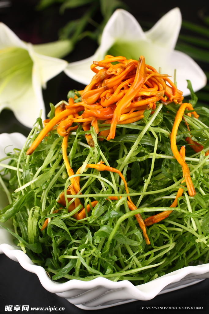 蟲草花熗柳苗