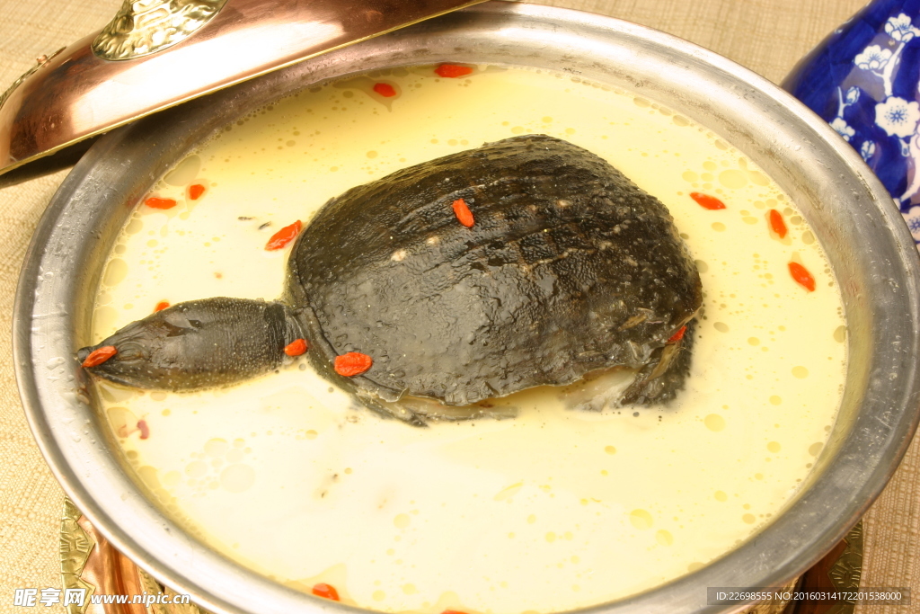銅鍋甲魚湯